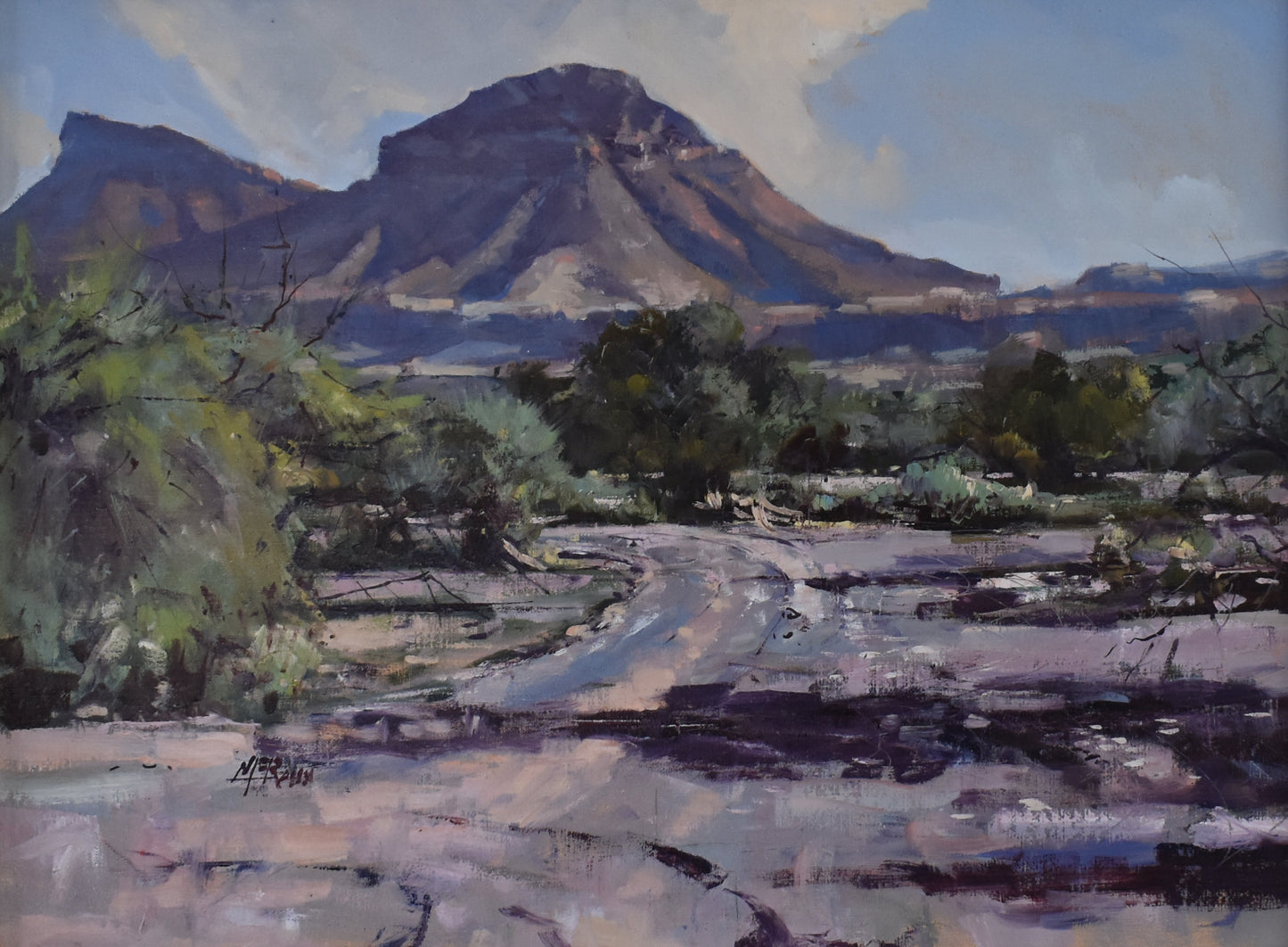 North of Saddlebrooke